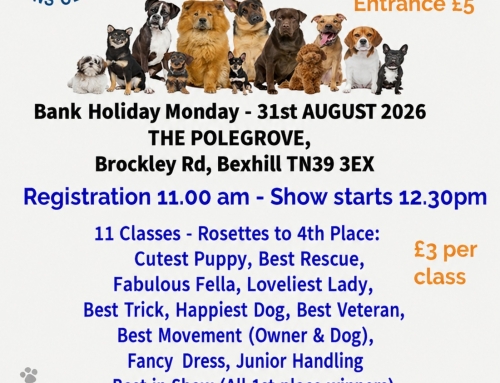 Bexhill Lions Club Dog Show