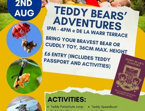 Every Teddy Deserves an Adventure!