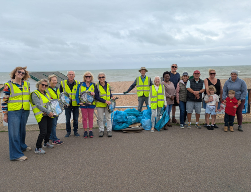 Bexhill Lions Join Environmental Group for Community Litter Pick